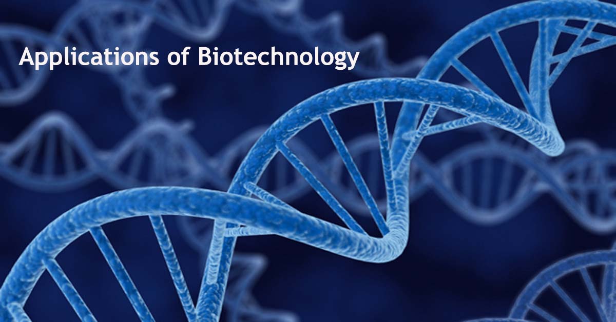 The Major Domains and Applications of Biotechnology