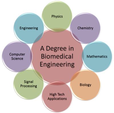 Biotechnology Vs Biomedical Science Vs Biomedical Engineering ...